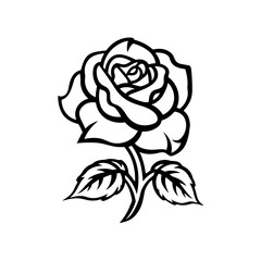 Rose Flower Illustration