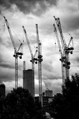 Cranes in the sky in black and white - 615991107
