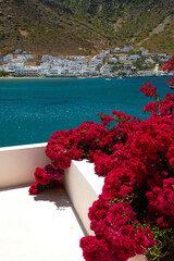  bougainvillea with the ocean and a greek town in background - 615991179