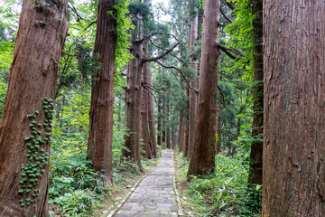 「出羽三山神社（羽黒山）の修験道」 in 山形県鶴岡市