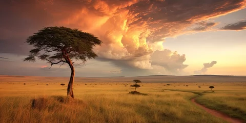 Foto op Aluminium Cinematic African landscape. Sahara grasslands. Sunrise over the desert plains. Safari views. © Fox Ave Designs