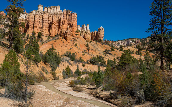 Mossy Cave Trail scenery of trees and hoodoos on a clear, sunny day | Bryce Canyon National Park, Utah, USA