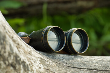 Retro binoculars placed on a log in forest