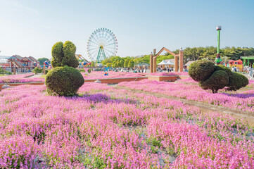 茨城　ひたち海浜公園