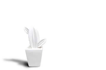 a white cactus ceramic with pompom on a colorful background. Minimal color still life photography