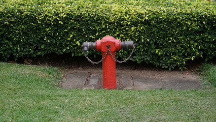 Fototapeta na wymiar fire hydrant in grass