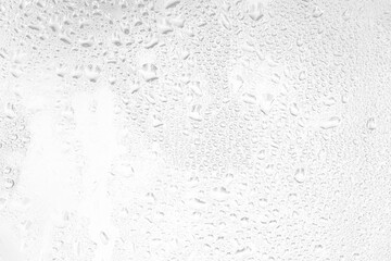 transparent water drops texture - obrazy, fototapety, plakaty