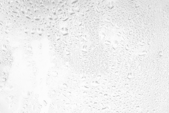 transparent water drops texture