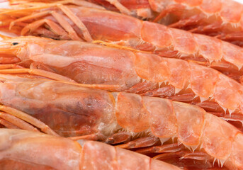 Obraz na płótnie Canvas Red giant argentine shrimp texture background. Large tiger shrimp pattern