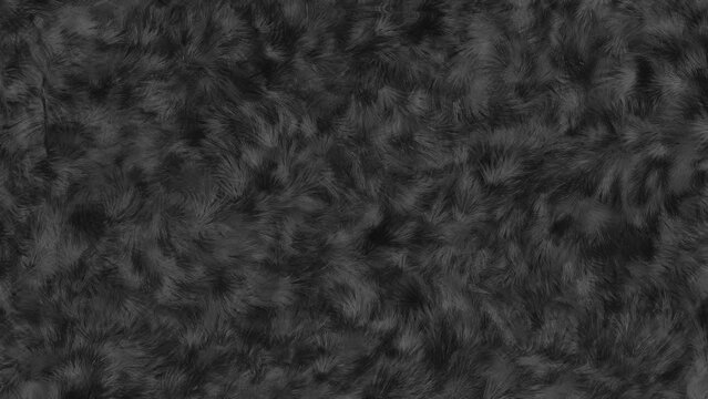 Abstract Colorful fur pattern animation