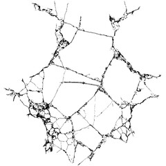 Many cracks on the wall with transparent background macro