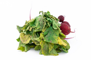 Vertrocknete Radieschen