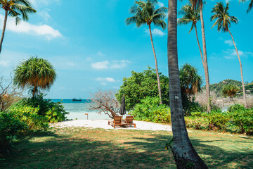 Tropical  beach and coconut tree at koh tao