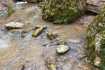 Spring period, mountain stream and forest park, awakening in nature, walking and traveling on a cloudy day.