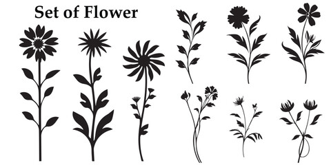 A set of silhouette Flower vector illustration.