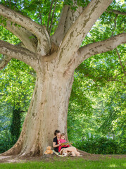 Mother reading a book with her cute little child under an old plane tree in the park. Funny and educative outdoor activity for children, in sunny summer day