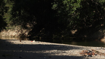 River landscape with rocks and trees. Riverbank in the forest.