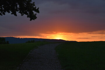 Park-Natur-Bäume-Sonnenuntergang-Sommer-Kassel