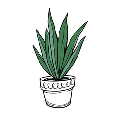 Green color houseplant sketch art vector illustration