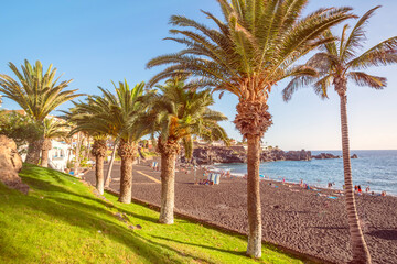 a paradise on earth palm trees beach ocean breeze