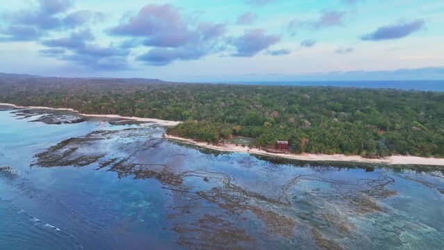 Panning drone clip of coastline of Grajagan Bay on the western tip of Java, with extensive jungle and coral reef, a popular surfing destination