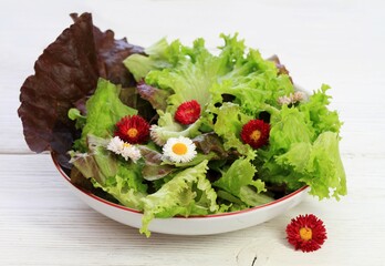 Fresh healthy lettuce salad and edible daisy flowers.  Different kinds of lettuce served on the plate on white table.