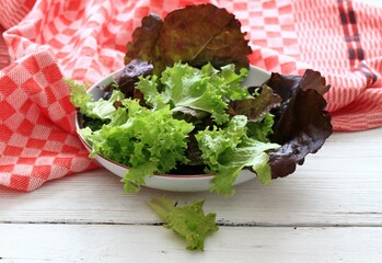Fresh and healthy lettuce salad. Different kinds of lettuce served in the plate on white table.