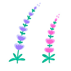 Purple Forget Me Not Flowers