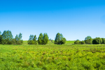 Uncultivated grassland in the countryside