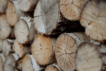 A wall made of timber trunks, abundant in wood and soil.