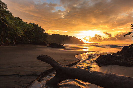 Colombia, Nuqui beach in Choc&ograve; region at sunset. Palm tree forest on the beach