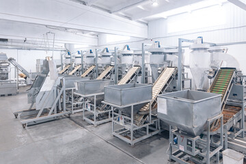 Industrial Automated production for pine nut shelling. Concept modern food industry