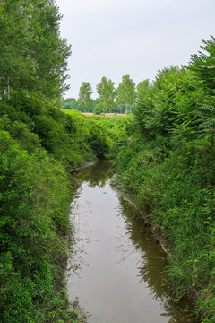 Ditch irrigation trees grass embankments panorama landscape natural nature Po Valley