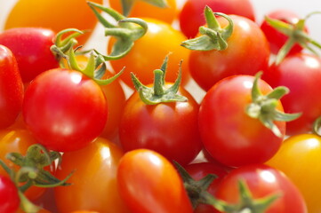 家庭菜園で収穫したミニトマト