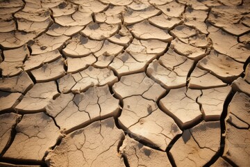 Resilient Beauty: A Striking Top-Down View of Cracked, Dry Earth Interspersed with Green Plants, Symbolizing Nature's Tenacity and the Balance of Life in Arid Summer Conditions.
