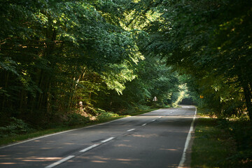 Forest road on a summer day. Rural asphalt road scenery. Beautiful roadway. Trees with green foliage and sunny sky.