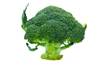  Broccoli Isolated on png Background
