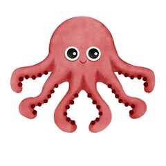octopus on white