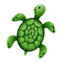 turtle