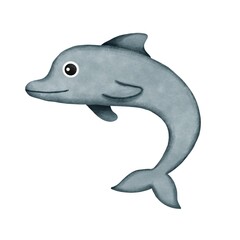 dolphin 