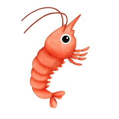 Shrimp