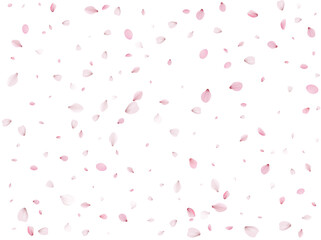 Flying Spring Sakura.