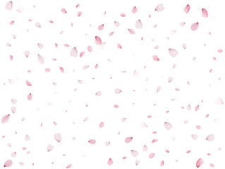 Flying Spring Sakura.