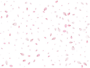 Flying Spring Sakura.