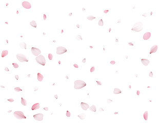 Flying Spring Sakura.