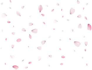 Flying Spring Sakura.