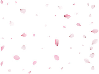 Flying Spring Sakura.