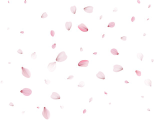 Flying Spring Sakura.