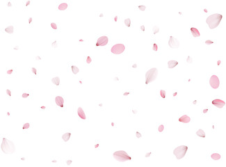 Flying Spring Cherry.