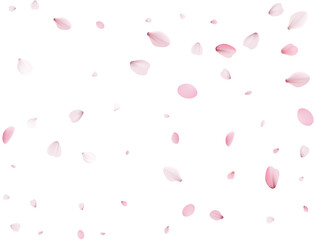 Flying Spring Cherry.